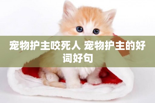 寵物護主咬死人 寵物護主的好詞好句