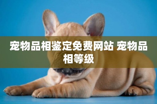 寵物品相鑒定免費網站 寵物品相等級