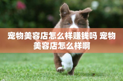 寵物美容店怎么樣賺錢嗎 寵物美容店怎么樣啊