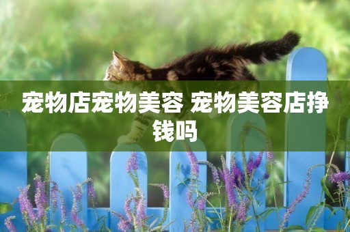寵物店寵物美容 寵物美容店掙錢嗎