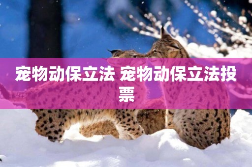 寵物動保立法 寵物動保立法投票