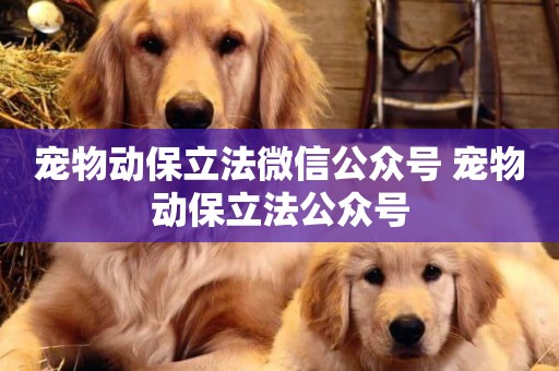 寵物動保立法微信公眾號 寵物動保立法公眾號