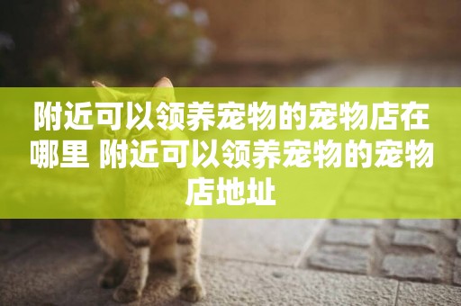 附近可以領養寵物的寵物店在哪里 附近可以領養寵物的寵物店地址