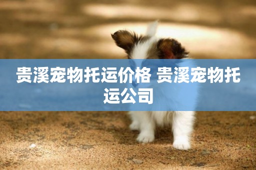 貴溪寵物托運價格 貴溪寵物托運公司