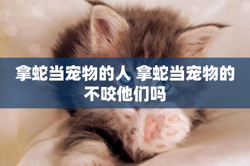 拿蛇當寵物的人 拿蛇當寵物的不咬他們嗎