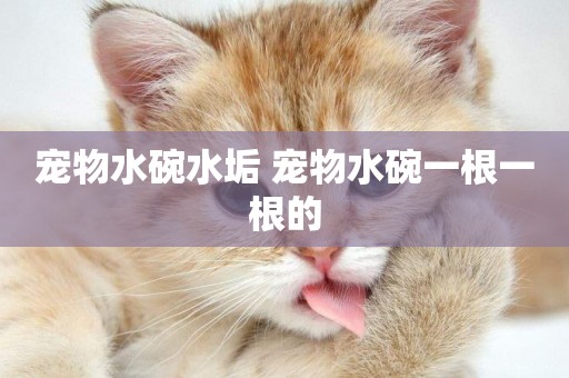 寵物水碗水垢 寵物水碗一根一根的