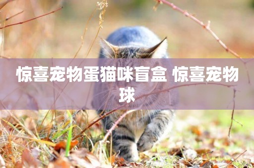 驚喜寵物蛋貓咪盲盒 驚喜寵物球