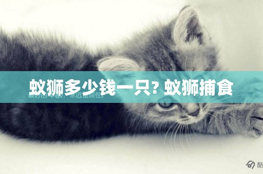 蟻獅多少錢一只? 蟻獅捕食