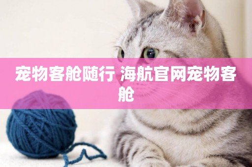 寵物客艙隨行 海航官網寵物客艙