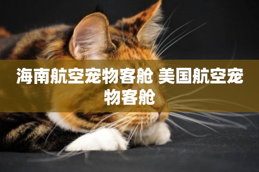 海南航空寵物客艙 美國航空寵物客艙