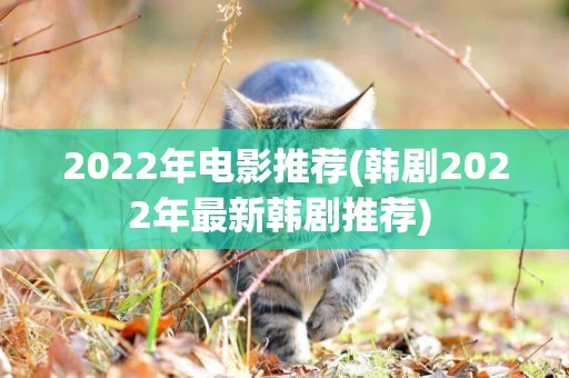 2022年電影推薦(韓劇2022年最新韓劇推薦) 