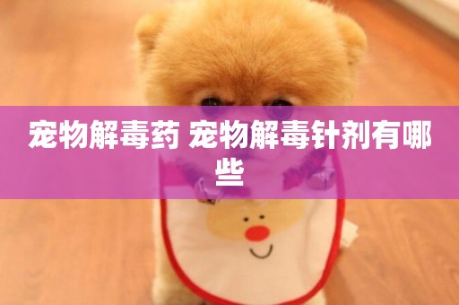 寵物解毒藥 寵物解毒針劑有哪些