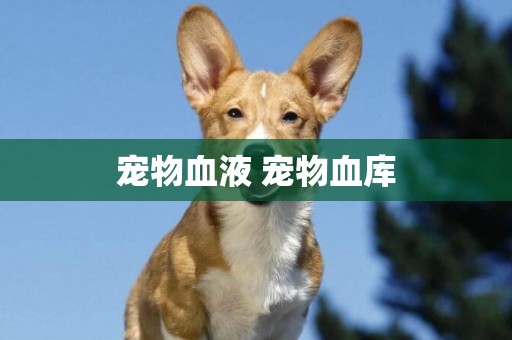 寵物血液 寵物血庫