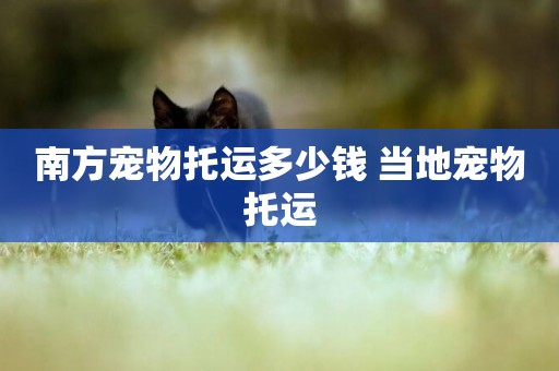 南方寵物托運多少錢 當地寵物托運