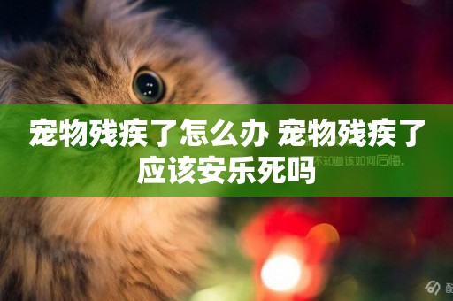 寵物殘疾了怎么辦 寵物殘疾了應該安樂死嗎