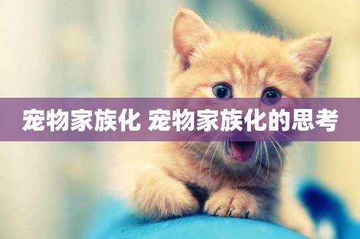 寵物家族化 寵物家族化的思考