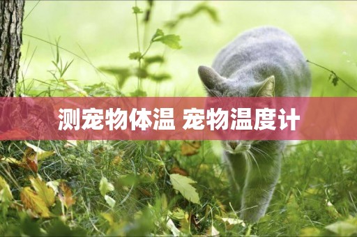 測寵物體溫 寵物溫度計