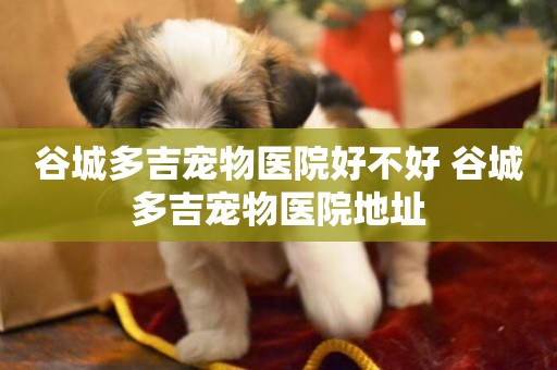 谷城多吉寵物醫院好不好 谷城多吉寵物醫院地址