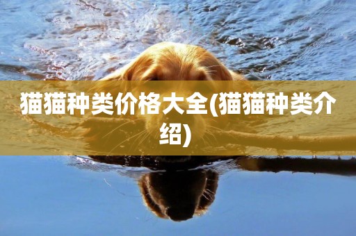 貓貓種類價格大全(貓貓種類介紹) 