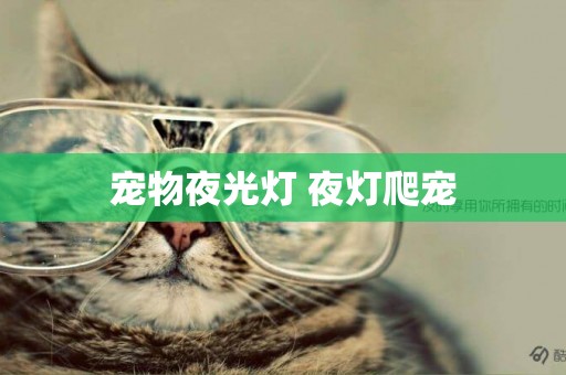 寵物夜光燈 夜燈爬寵
