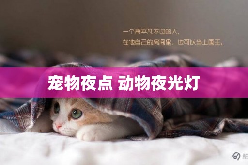 寵物夜點 動物夜光燈