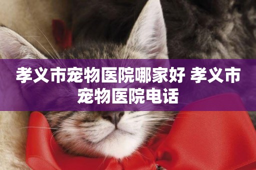 孝義市寵物醫院哪家好 孝義市寵物醫院電話