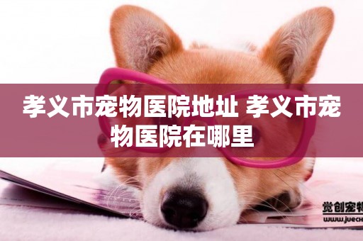 孝義市寵物醫院地址 孝義市寵物醫院在哪里