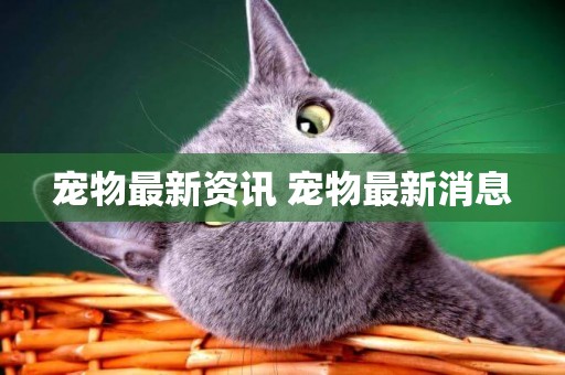 寵物最新資訊 寵物最新消息