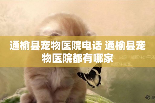 通榆縣寵物醫院電話 通榆縣寵物醫院都有哪家