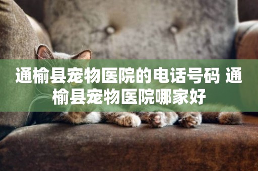 通榆縣寵物醫院的電話號碼 通榆縣寵物醫院哪家好