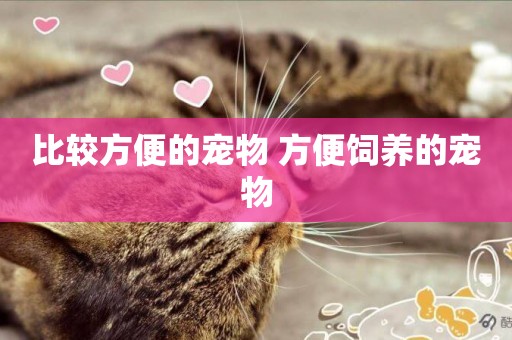 比較方便的寵物 方便飼養的寵物