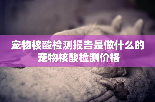 寵物核酸檢測報告是做什么的 寵物核酸檢測價格
