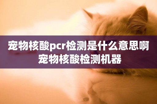 寵物核酸pcr檢測是什么意思啊 寵物核酸檢測機器