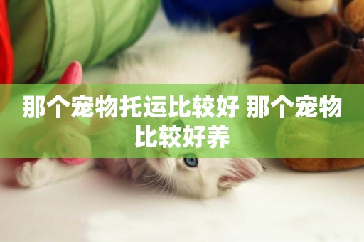那個寵物托運比較好 那個寵物比較好養