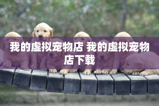 我的虛擬寵物店 我的虛擬寵物店下載