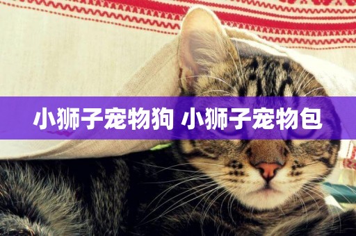 小獅子寵物狗 小獅子寵物包
