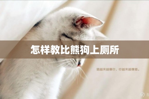 怎樣教比熊狗上廁所
