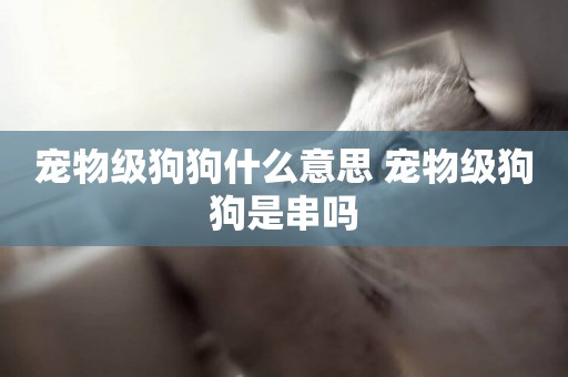寵物級狗狗什么意思 寵物級狗狗是串嗎
