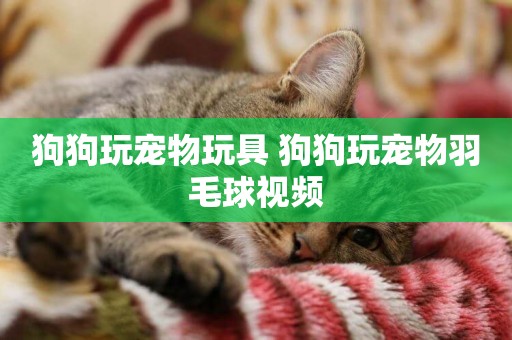 狗狗玩寵物玩具 狗狗玩寵物羽毛球視頻