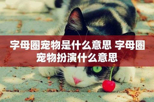 字母圈寵物是什么意思 字母圈寵物扮演什么意思