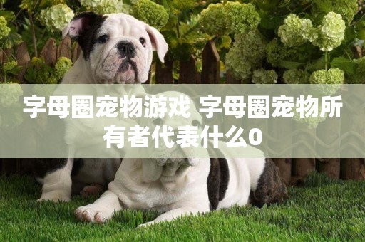 字母圈寵物游戲 字母圈寵物所有者代表什么0