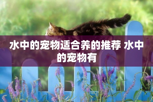 水中的寵物適合養的推薦 水中的寵物有