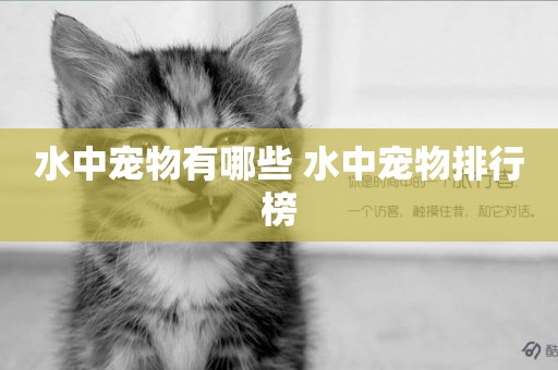 水中寵物有哪些 水中寵物排行榜