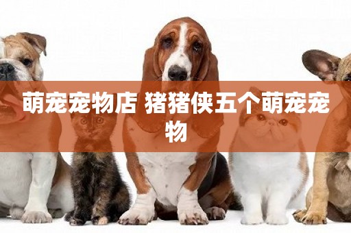萌寵寵物店 豬豬俠五個萌寵寵物
