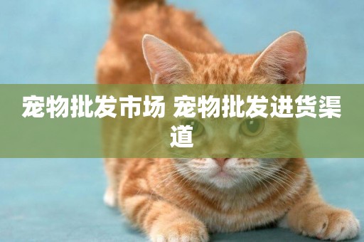 寵物批發市場 寵物批發進貨渠道