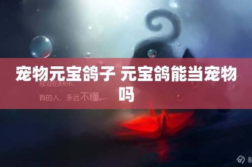寵物元寶鴿子 元寶鴿能當寵物嗎