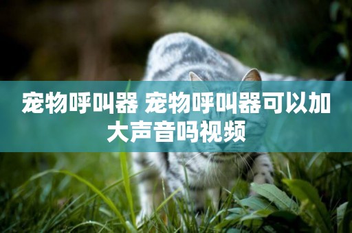 寵物呼叫器 寵物呼叫器可以加大聲音嗎視頻