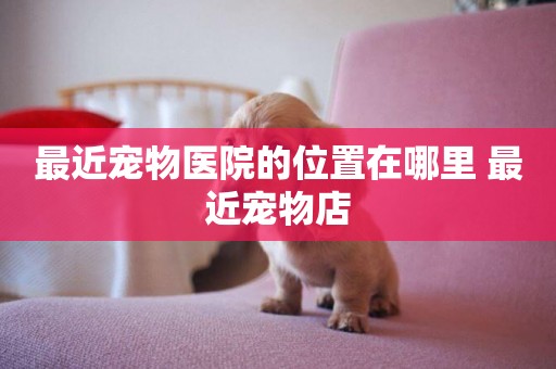 最近寵物醫院的位置在哪里 最近寵物店