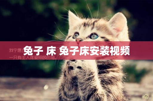 兔子 床 兔子床安裝視頻