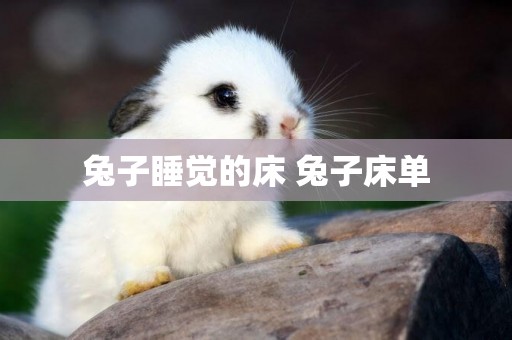 兔子睡覺的床 兔子床單